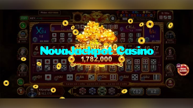 available types of NovaJackpot Casino bet including pre-match live express and system bets
